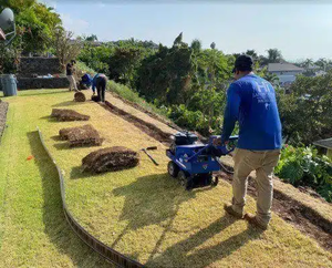 Landscaping Maintenance 101: Keeping Your Big Island Property Picture-Perfect
