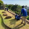 Landscaping Maintenance 101: Keeping Your Big Island Property Picture-Perfect