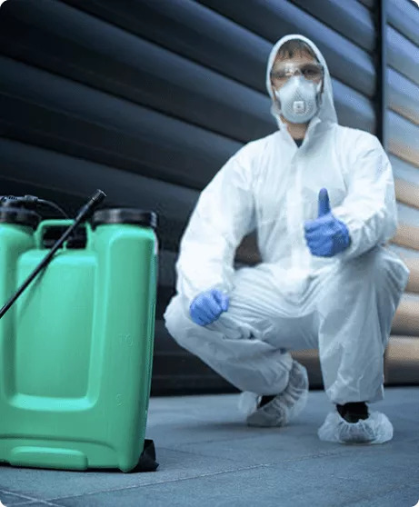 10 Effective Ways to Keep Your Brisbane Home Pest-Free
