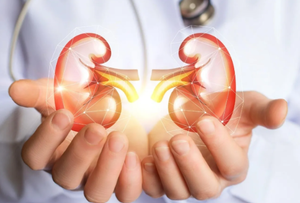 Nurturing Renal Health: The Expertise of Kidney Specialist of Georgia