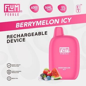 Flum Pebble Disposable Device 5% 6000 Puffs 10PK