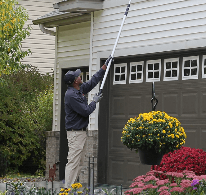 Pest Control Sydney: How to Keep Your Home Free from Termites and Other Pests