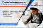 Cheap assignment writing services with 100% quality