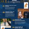 Why are dogs not allowed on hiking trails?