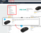 What is Best Amazon Category Rank Data Scraping Services?