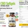 Top 7 Quotes On Pure CBD Softgels UK
