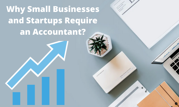 Why Small Businesses and Startups Require an Accountant?