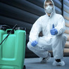 10 Effective Ways to Keep Your Brisbane Home Pest-Free