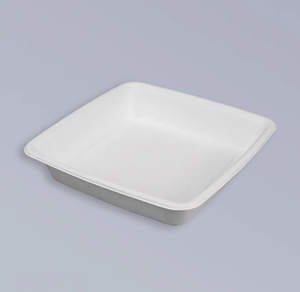 Introduce relevant information about bagasse trays