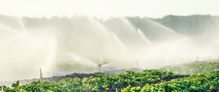 Benefits of Colon Irrigation