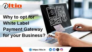 Why Opt for a White-label Payment Gateway for Your Business?
