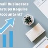 Why Small Businesses and Startups Require an Accountant?