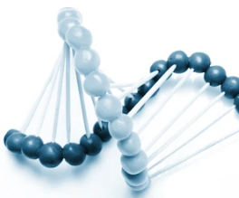 Introduction to PNA Nucleobase Modifications