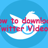 How to download Twitter Videos