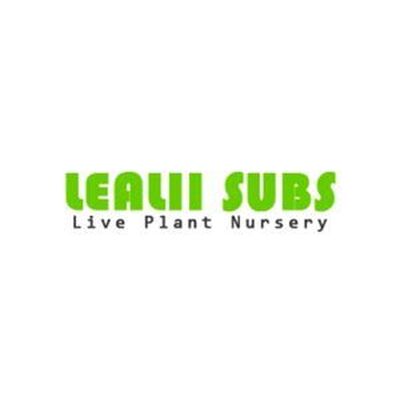 Lealii Subs  Nursery  