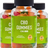 Evergreen CBD Gummies