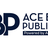 Ace Book Publishers