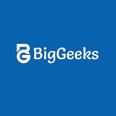 BIG GEEKS PTY LTD