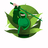 CBD  Marketing Agency 