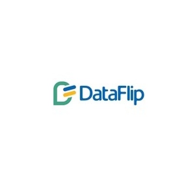 Data  Flip