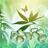 BiohealCBDOffers BiohealCBDOffers