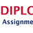 Diploma  Writer