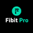 Fibit Pro