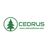 Cedrus  Silicone