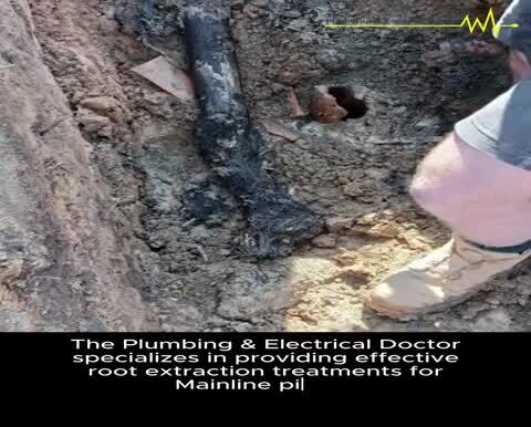 Root Extraction of Mainline